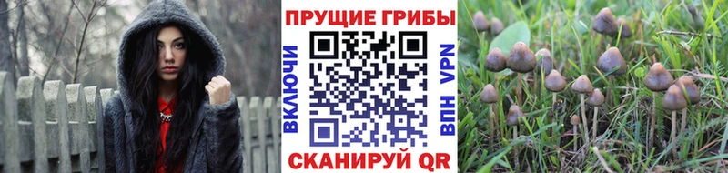 Галлюциногенные грибы GOLDEN TEACHER  Сим 